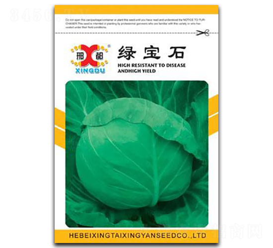 綠寶石-甘藍種子-邢研種業(yè)