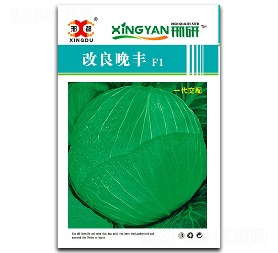 改良晚豐-甘藍(lán)種子-邢研種業(yè)