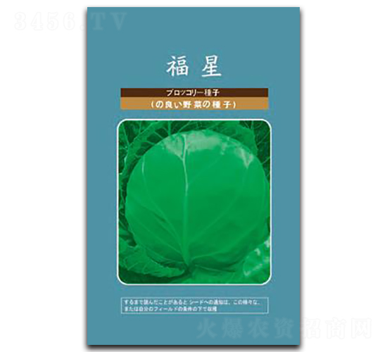 福星-甘藍(lán)種子-邢研種業(yè)