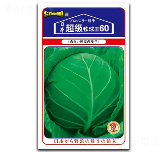 超級鐵球王60-甘藍(lán)種子-邢研種業(yè)