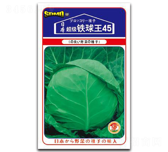 超級(jí)鐵球王45-甘藍(lán)種子-邢研種業(yè)