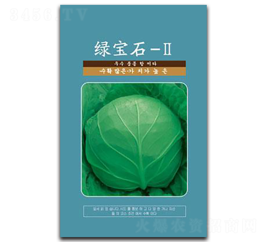 綠寶石-Ⅱ-甘藍種子-邢研種業(yè)