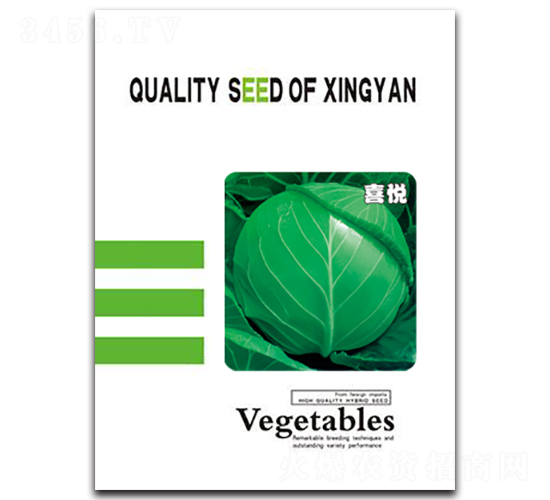 喜悅-甘藍種子-邢研種業(yè)