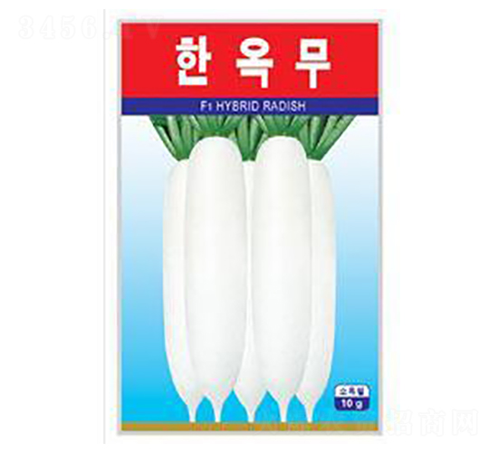 寒玉-蘿卜種子-瑞奇種業(yè)