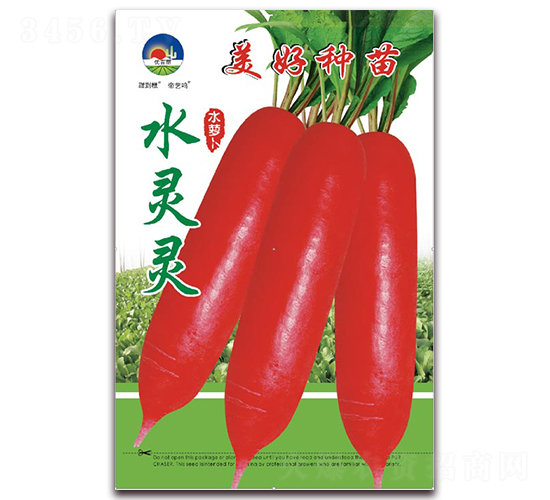 水靈靈-水蘿卜種子-美好種苗