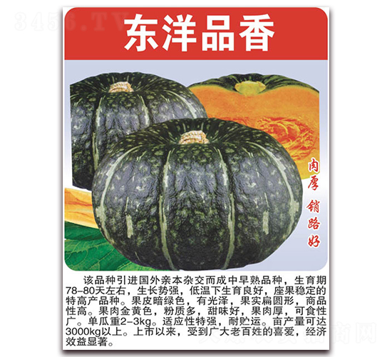 æ±æ´‹å“é¦™-å—ç“œç¨®å­-ç¾Žå¥½ç¨®è‹—