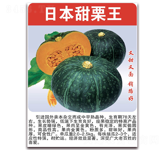 日本甜栗王-南瓜種子-美好種苗