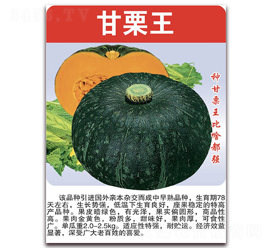 甘栗王-南瓜種子-美好種苗