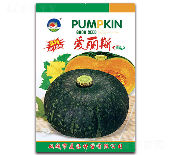 愛麗斯-南瓜種子-美好種苗