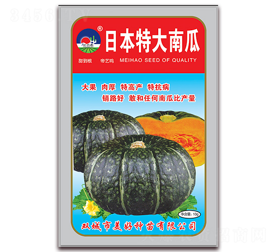 日本特大南瓜-南瓜種子-美好種苗