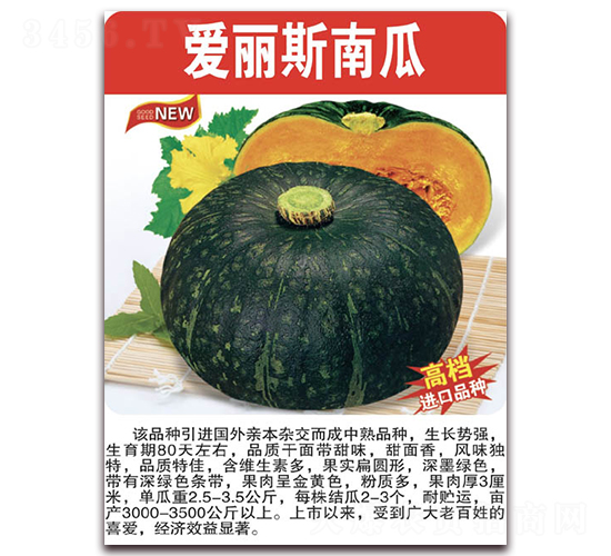 愛麗斯南瓜-南瓜種子-美好種苗