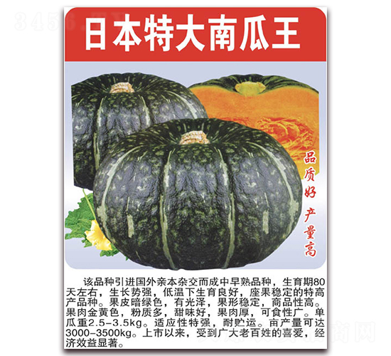日本特大南瓜王-南瓜種子-美好種苗