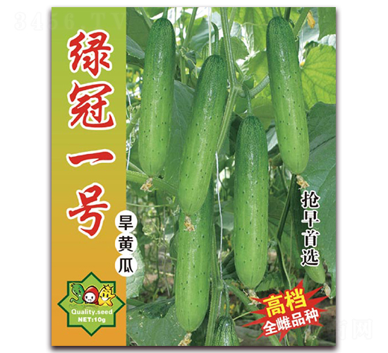 綠冠一號-黃瓜種子-美好種苗
