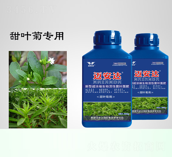 甜葉菊用新型超濃縮生物活性菌肥-邁安達(dá)