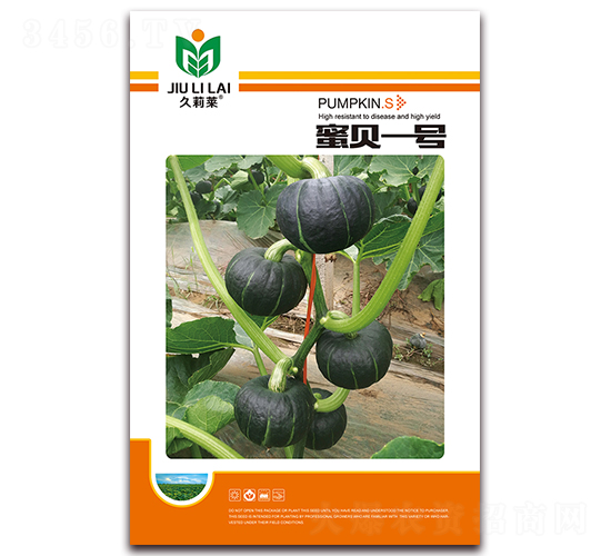 蜜貝一號(hào)-南瓜種子-金鵬種業(yè)