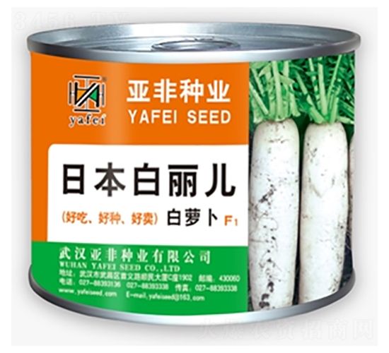 白麗兒-白蘿卜種子-亞非