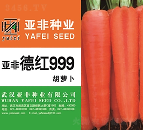 德紅999-胡蘿卜種子-亞非