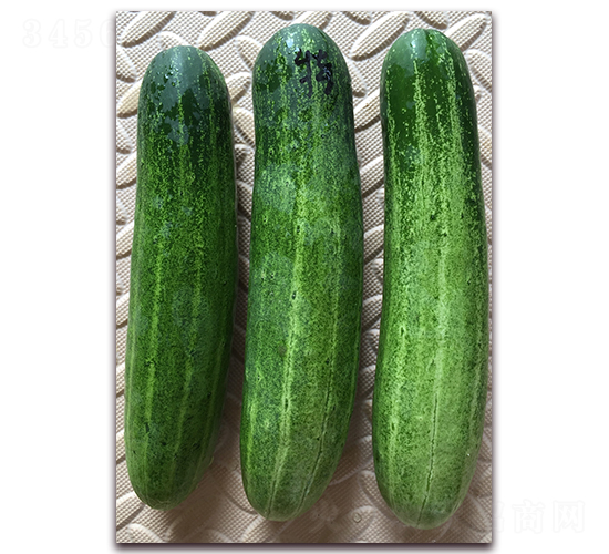 é›…ç¾Žç‰¹-é»ƒç“œç¨®å­-æ­£å¤§ç¨®å­