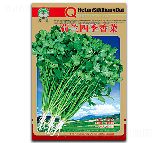 荷蘭四季香菜-香菜種子-鴻盛園