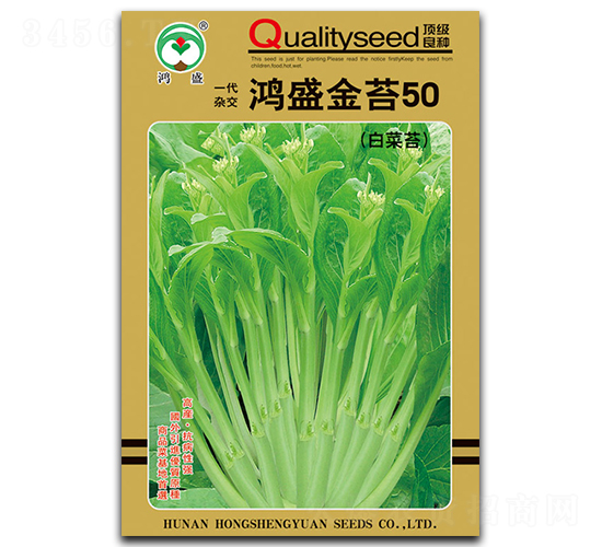 鴻盛金苔50-菜苔種子-鴻盛園