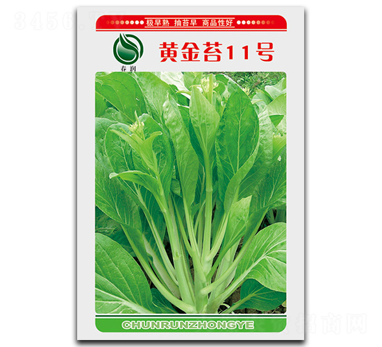 黃金苔11號-菜苔種子-鴻盛園