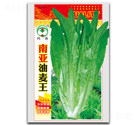 南亞油麥王-油麥菜種子-鴻盛園