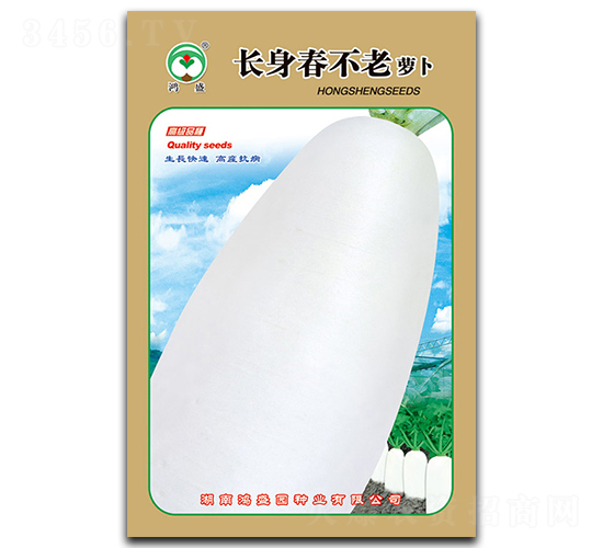 長(zhǎng)身春不老-蘿卜種子-鴻盛園