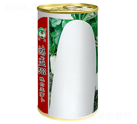 鴻盛502晚白玉蘿卜-蘿卜種子-鴻盛園