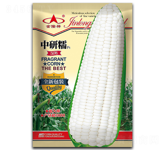 ä¸­ç ”ç³¯508-ç³¯çŽ‰ç±³ç¨®å­-é‡‘éš†ç¥¥