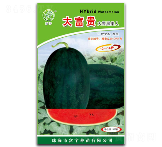 300粒大富貴大果黑美人-西瓜種子-富宇種苗