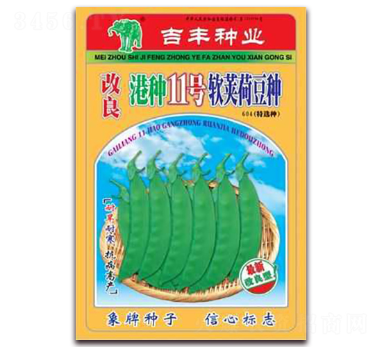 改良港種11號(hào)軟莢荷豆種-荷蘭豆種子-吉豐種業(yè)