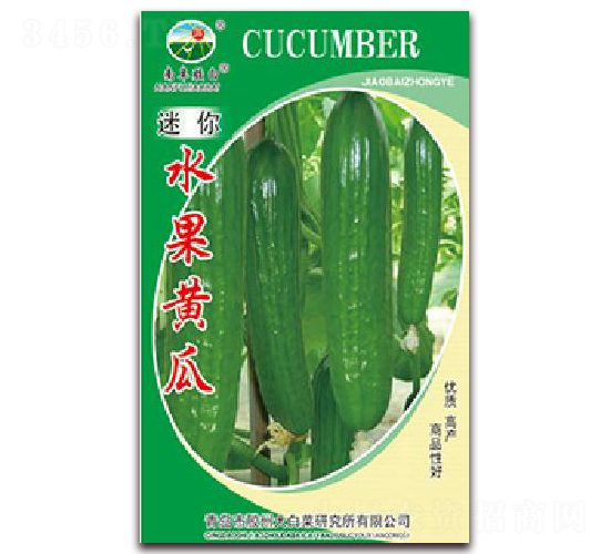 迷你水果黃瓜-黃瓜種子-膠白