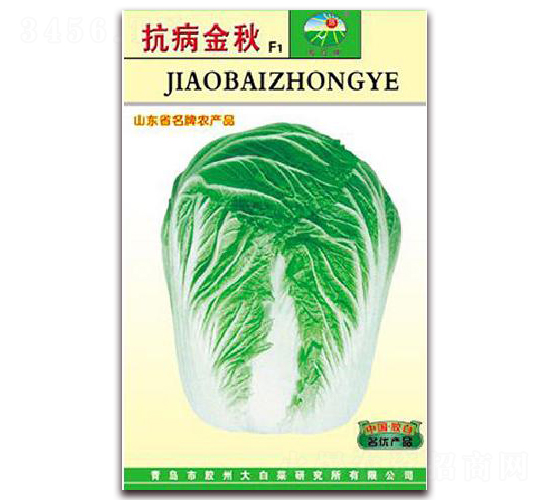 抗病金秋F1-白菜種子-膠白