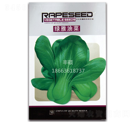 綠雅油菜-青梗菜種子-豐碩種業(yè)