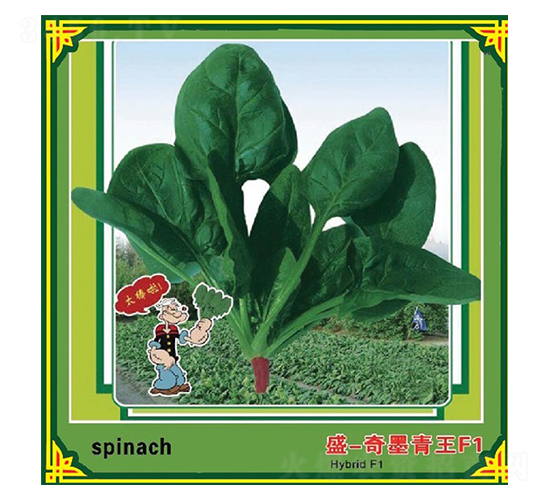 ç››-å¥‡å¢¨é’çŽ‹F1-è èœç¨®å­-ç››çªç¨®å­