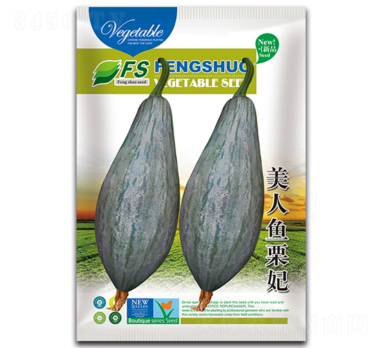 美人魚栗妃-南瓜種子-豐碩種業(yè)