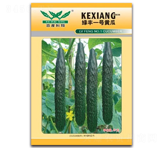 綠豐一號(hào)黃瓜-黃瓜種子-科翔種業(yè)