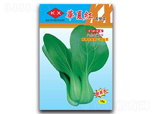 華夏紅青梗菜-青梗菜種子-科翔種業(yè)