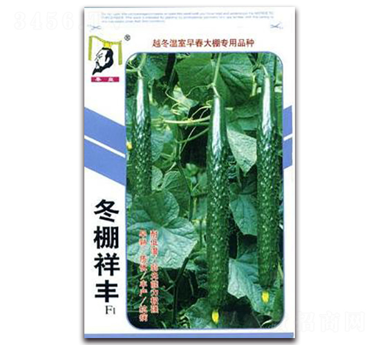 å†¬æ£šç¥¥è±F1-é»ƒç“œç¨®å­-ç§¦çš‡
