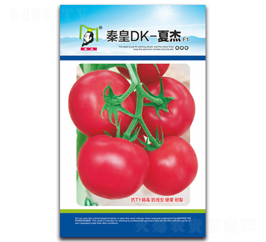 ç§¦çš‡DK-å¤æ°F1-ç•ªèŒ„ç¨®å­-ç§¦çš‡