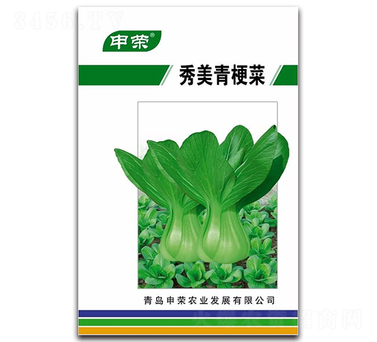 秀美青梗菜-青梗菜種子-申榮農(nóng)業(yè)