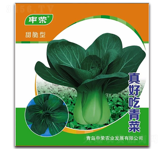 真好吃青菜-青梗菜種子-申榮農(nóng)業(yè)