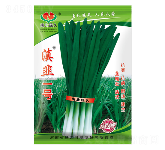 滇韭一號-韭菜種子-南北綠久