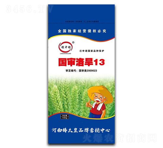 國審洛旱13（小麥種子）-糧中糧-鼎冠種業(yè)