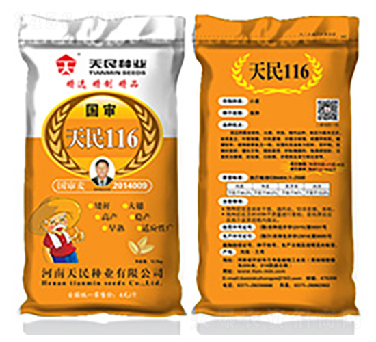 國(guó)審天民116（黃袋）-小麥種子-天民種業(yè)