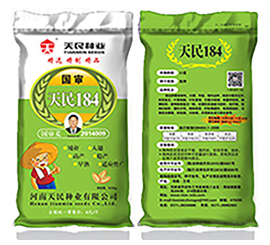 國(guó)審天民184（綠袋）-小麥種子-天民種業(yè)