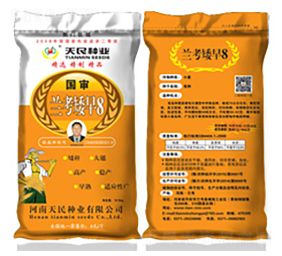 國(guó)審蘭考矮早8（荊門(mén)區(qū)域黃袋）-小麥種子-天民種業(yè)
