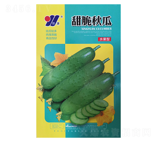 甜脆秋瓜-秋瓜種子-邢源農(nóng)業(yè)