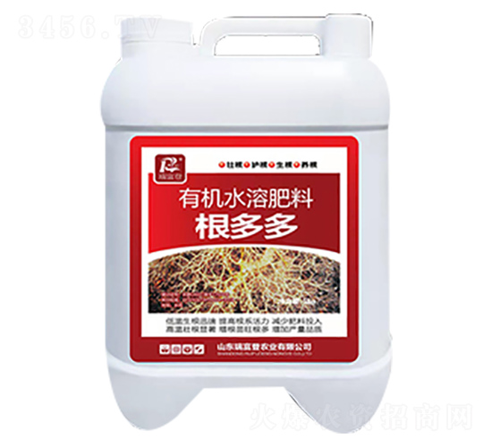 根多多-瑞富登