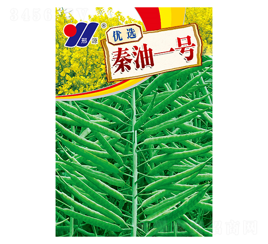 優(yōu)選秦油一號-油菜種子-邢源農(nóng)業(yè)